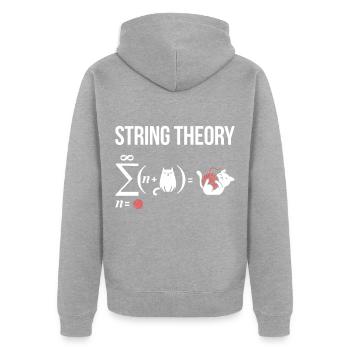 théorie des cordes, astrophysique schrödinger cat Phys - Veste à capuche bio Premium Unisexe - gris chiné - Dos - Nico (187cm)