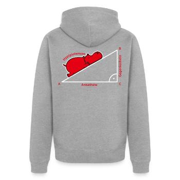 Hippotenuse Pythagoras math Hippo teacher gift - Unisex Premium Organic Zip Hoodie - heather grey - Back - Nico (187cm)