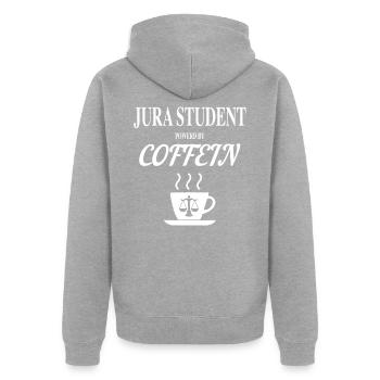 Jura Studium - Unisex Premium Bio Zip Hoodie - Grau meliert - Hinten - Nico (187cm)
