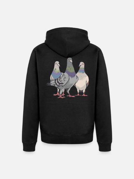 Piccione piccione appassionati Piccioni viaggiatori Piccioni da compagnia Uccelli Allevamento di piccioni - Felpa con cappuccio ecologica premium unisex - nero