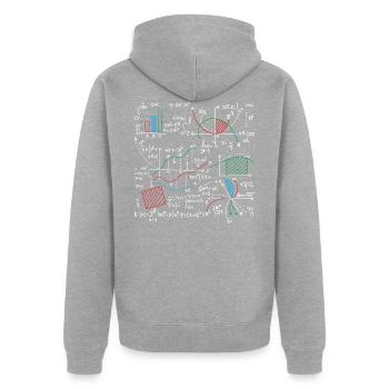 Amoureux des équations mathématiques maths - Veste à capuche bio Premium Unisexe - gris chiné - Dos - Nico (187cm)