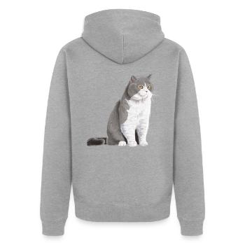 Chat sédentaire bicolore british shorthair - Veste à capuche bio Premium Unisexe - gris chiné - Dos - Nico (187cm)