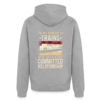 Conducteur de train diesel de marchandises - Veste à capuche bio Premium Unisexe - gris chiné - Dos - Nico (187cm)