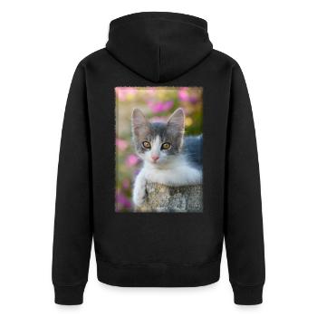 Cute gray-white kitten - Unisex Premium Organic Zip Hoodie - black - Back - Nico (187cm)