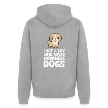 Juste un garçon qui aime les chiens havanais - Veste à capuche bio Premium Unisexe - gris chiné - Dos - Nico (187cm)