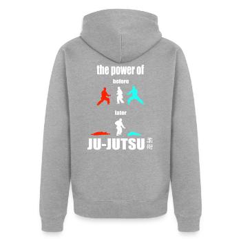 The Power of Ju-Jutsu - Selbstverteidigungs Shirt - Unisex Premium Bio Zip Hoodie - Grau meliert - Hinten - Nico (187cm)