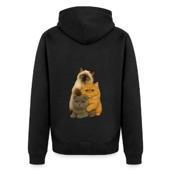 Birman Persian Fold - Unisex Premium Bio Zip Hoodie - Schwarz - Hinten - Nico (187cm)