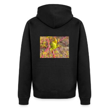 cornouillers Hornstrauch Cornus - Veste à capuche bio Premium Unisexe - noir - Dos - Nico (187cm)