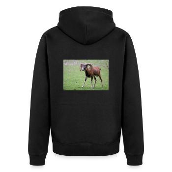 European mouflon Europäischer Mufflon - Unisex Premium Bio Zip Hoodie - Schwarz - Hinten - Nico (187cm)