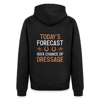 Cavalier Prévisions du jour Dressage - Veste à capuche bio Premium Unisexe - noir - Dos - Nico (187cm)