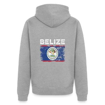 Belize Flag Distressed - Belizean Flag - Unisex Premium Organic Zip Hoodie - heather grey - Back - Nico (187cm)