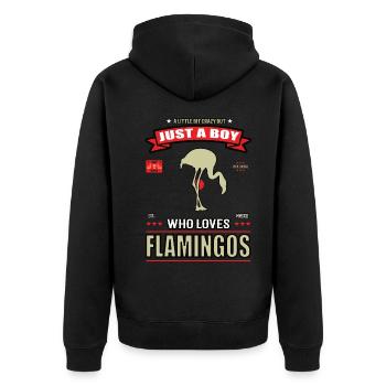 Just a Boy who loves Flamingos Outfit - Unisex Premium Bio Zip Hoodie - Schwarz - Hinten - Nico (187cm)