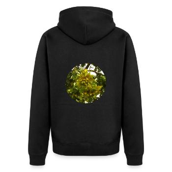 En automne, les glands tombent des arbres - Veste à capuche bio Premium Unisexe - noir - Dos - Nico (187cm)