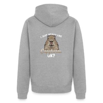 Rongeur Capybara - Veste à capuche bio Premium Unisexe - gris chiné - Dos - Nico (187cm)