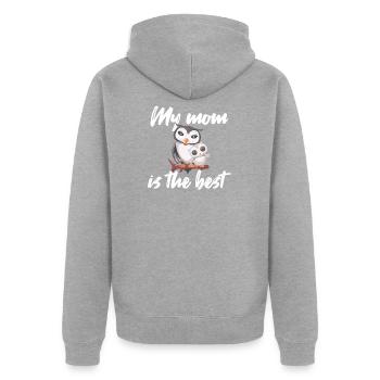 Fête des Mères - Veste à capuche bio Premium Unisexe - gris chiné - Dos - Nico (187cm)