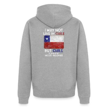 Chili - Veste à capuche bio Premium Unisexe - gris chiné - Dos - Nico (187cm)