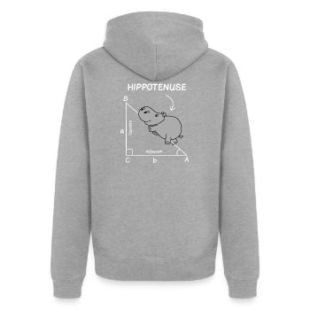 Math Teacher Student Engineer School - Unisex Premium Organic Zip Hoodie - heather grey - Back - Nico (187cm)