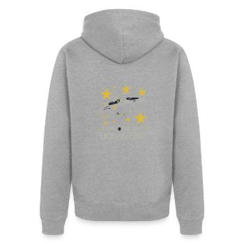 VAISSEAUX SPATIAUX - Veste à capuche bio Premium Unisexe - gris chiné - Dos - Nico (187cm)