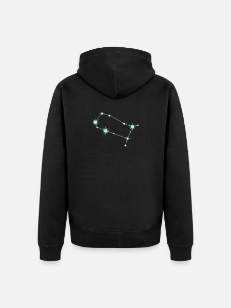 Zwilling, Sternbild, Tierkreiszeichen Grün - Unisex Premium Bio Zip Hoodie - Schwarz