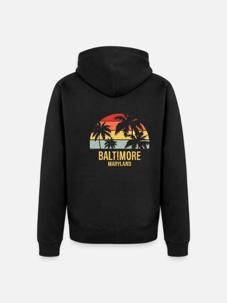 Baltimore - Veste à capuche bio Premium Unisexe - noir