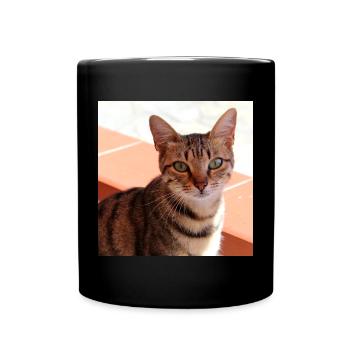Katze Kätzchen Poster quadratisch Katzenposter - Tasse einfarbig - Schwarz - Vorne