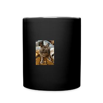 so cuddly: Grey kittens to fall in love with - Full Colour Mug - black - Front
