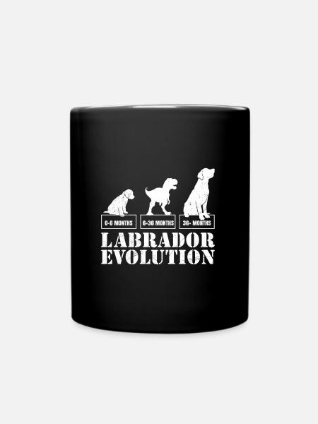 Labrador EVOLUTION Labrador Lover Drôle - Mug uni - noir