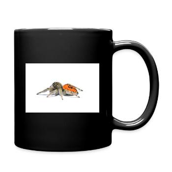 Springspinne Phidippus texanus jumping spider - Mug uni - noir - Droite