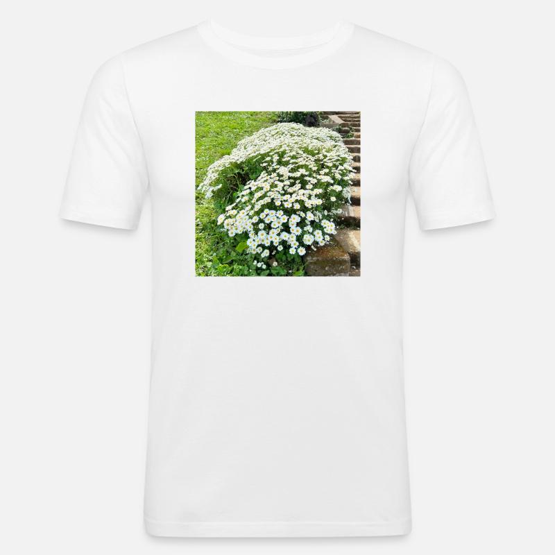 Gänseblümchenstrauch im botanischen Garten - Männer Slim Fit T-Shirt - Weiß
