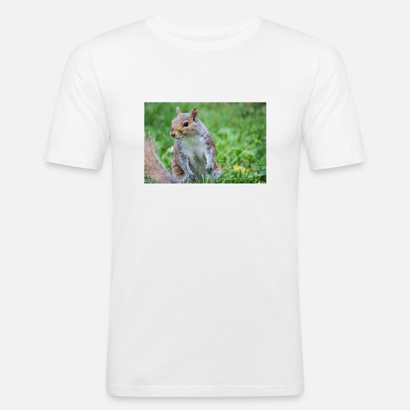 Grey squirrel Grauhörnchen Sciurus carolinensis - Men's Slim Fit T-Shirt - white