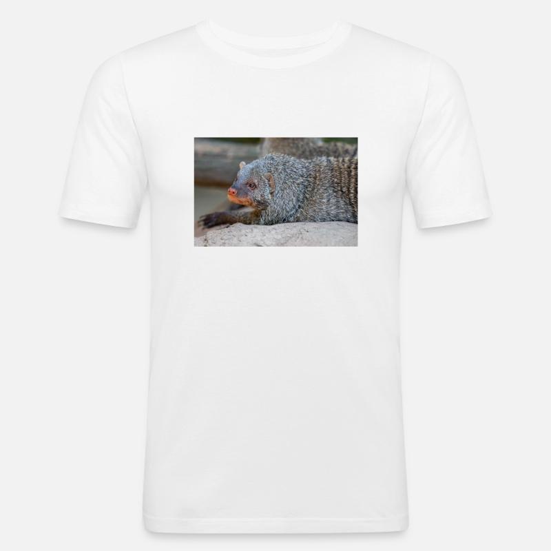 Gebänderte Manguste oder Zebramanguste Zebramanguste - Männer Slim Fit T-Shirt - Weiß
