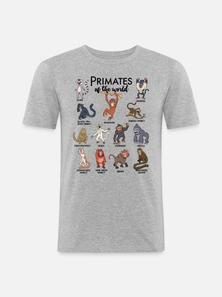 Forskellige aber - typer primater - Herre Slim Fit T-Shirt - grå meleret
