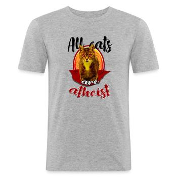 Katzen-Atheist Luzifer - Männer Slim Fit T-Shirt - Grau meliert - Vorne - Nik (191cm)