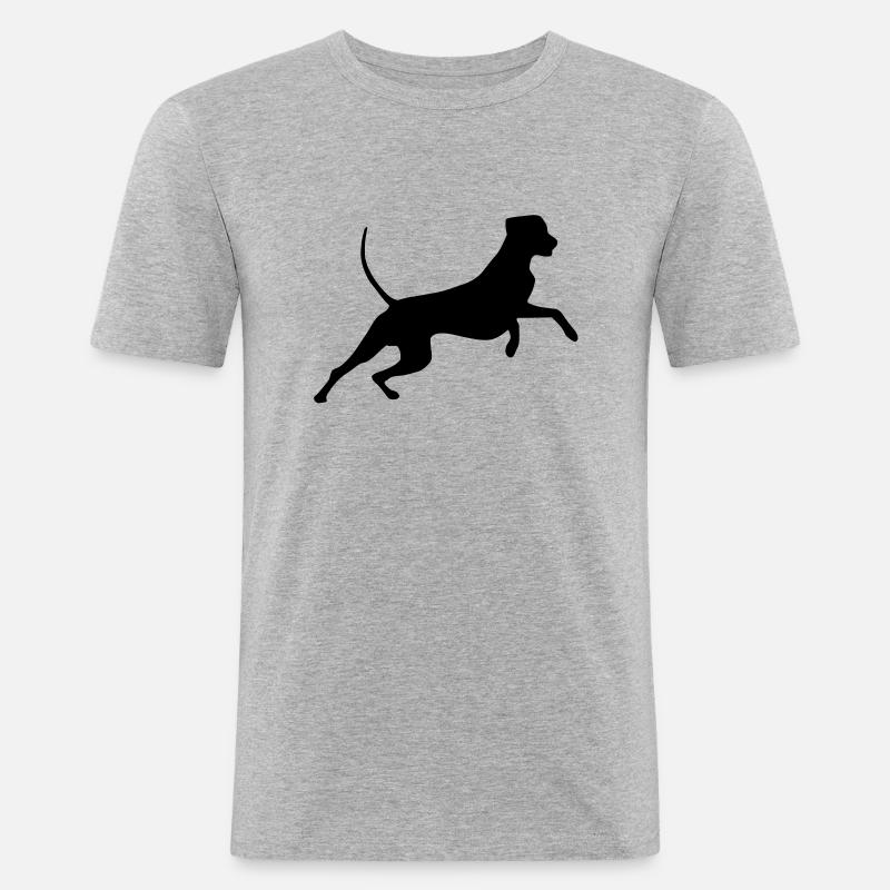 rhodesian_ridgeback_cb - Männer Slim Fit T-Shirt - Grau meliert