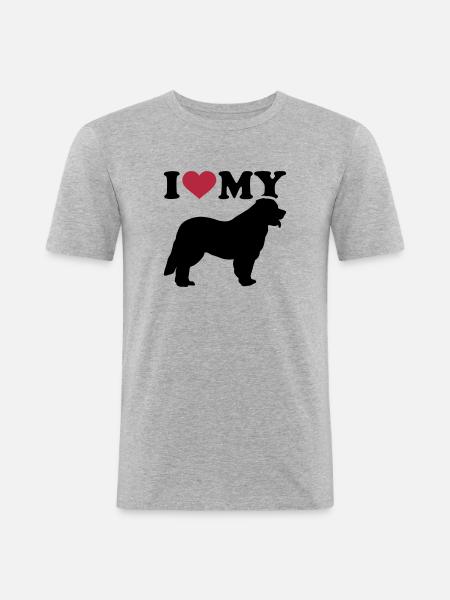 Leonberger - T-shirt près du corps Homme - gris chiné