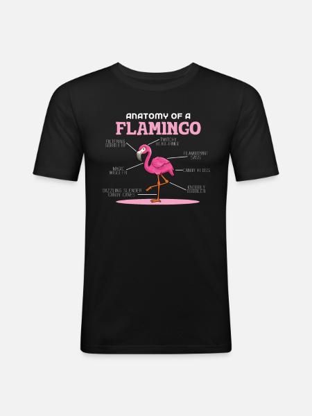 Anaotomy Of A Flamingo - Männer Slim Fit T-Shirt - Schwarz