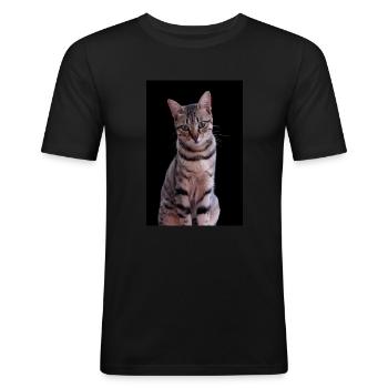 Chat chat chaton doux - T-shirt près du corps Homme - noir - Devant - Nik (191cm)