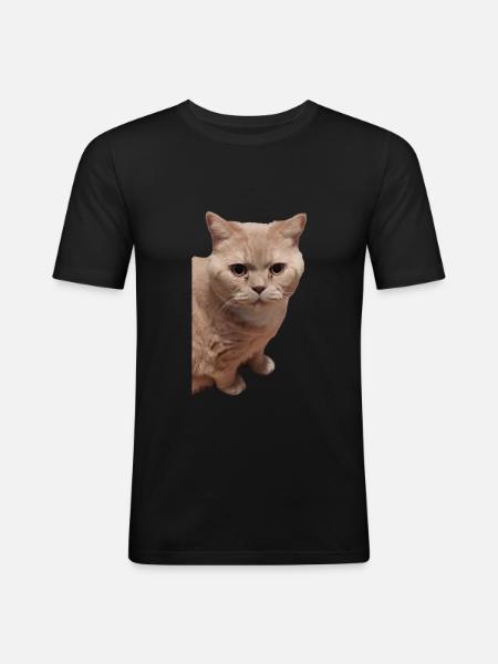 british shorthair cat cats - Men's Slim Fit T-Shirt - black