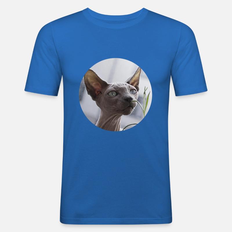 Nacktkatze don Sphynx Katze - Männer Slim Fit T-Shirt - Königsblau