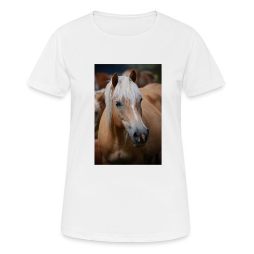 Haflinger - Frauen T-Shirt atmungsaktiv