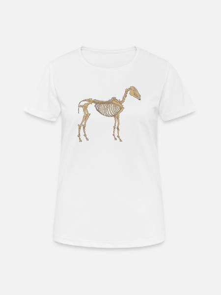 Paläolithisches Skelettpferd - Frauen T-Shirt atmungsaktiv - Weiß
