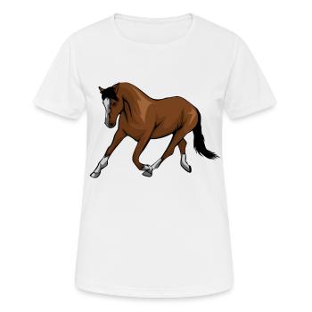 Criollo Pferderasse Design Motiv Reiter Shirt - Frauen T-Shirt atmungsaktiv - Weiß - Vorne - AI Model Female 172 dark (172cm)