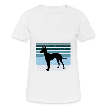 Cirneco Dell Etna Dog Love Silhouette Retro Sunset - Women's Breathable T-Shirt - white - Front - AI Model Female 172 dark (172cm)