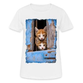Curious kittens looking out a blue window - Women's Breathable T-Shirt - white - Front - AI Model Female 172 dark (172cm)