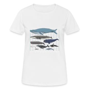 Whale species whale marine mammals - Women's Breathable T-Shirt - white - Front - AI Model Female 172 dark (172cm)