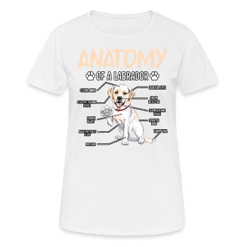Anatomy of Labrador - Women's Breathable T-Shirt - white - Front - AI Model Female 172 dark (172cm)