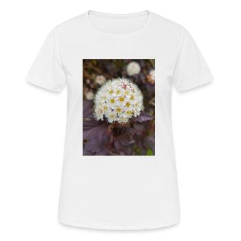 Blasenspiere à neuf écorces Physocarpus capitatus - T-shirt respirant Femme - blanc - Devant - AI Model Female 172 dark (172cm)