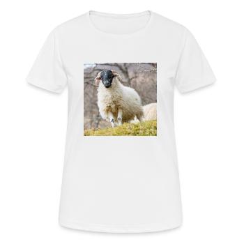 Mouton (en allemand Schaf) Ovis en Irlande - T-shirt respirant Femme - blanc - Devant - AI Model Female 172 dark (172cm)