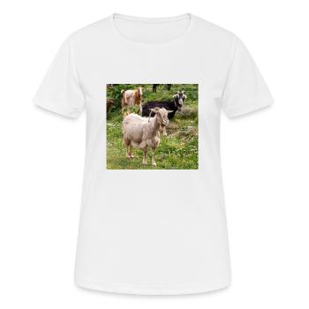 Chèvre de montagne dans le parc national Parc de l’île de Kos - T-shirt respirant Femme - blanc - Devant - AI Model Female 172 dark (172cm)