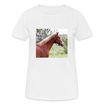Horse. Horse. - Women's Breathable T-Shirt - white - Front - AI Model Female 172 dark (172cm)